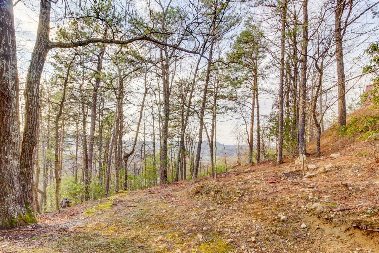 Misty View Cabin Hatchertown Экстерьер фото