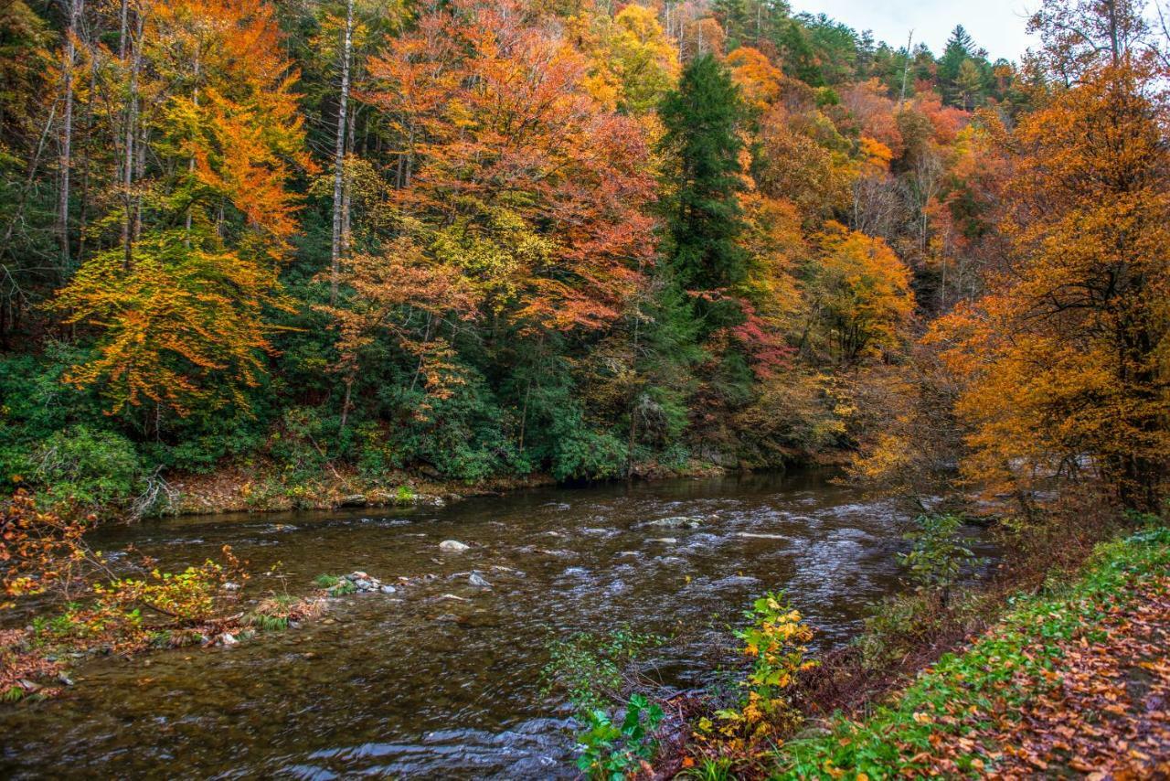 Misty View Cabin Hatchertown Экстерьер фото